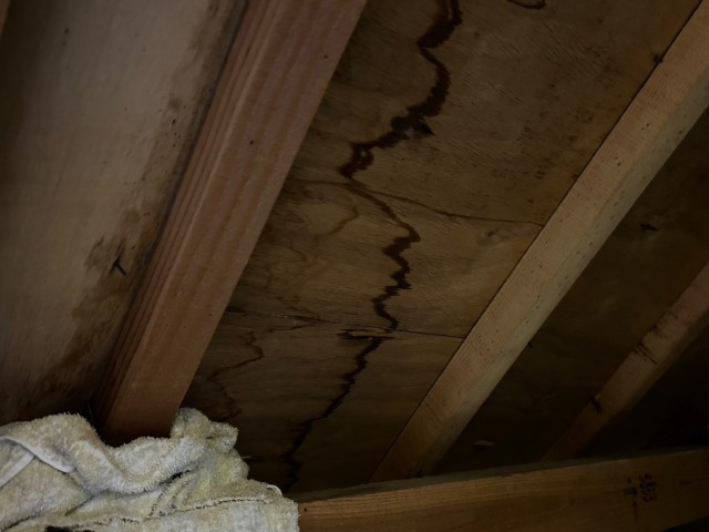 屋根裏　雨染み